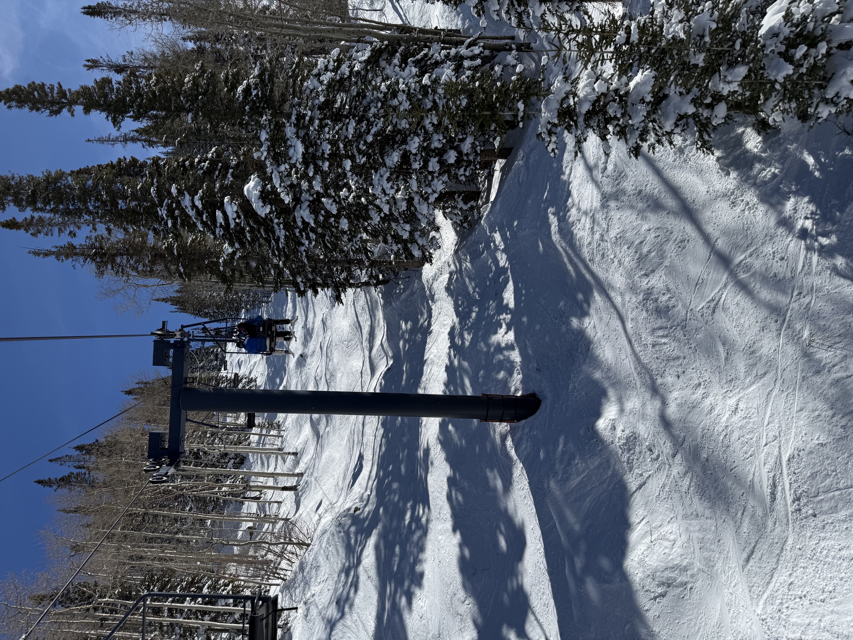 Snow-covered glades beside a chairlift in Steamboat Springs